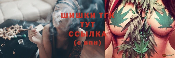 амф Магас