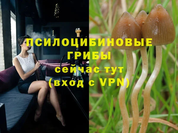 амф Магас