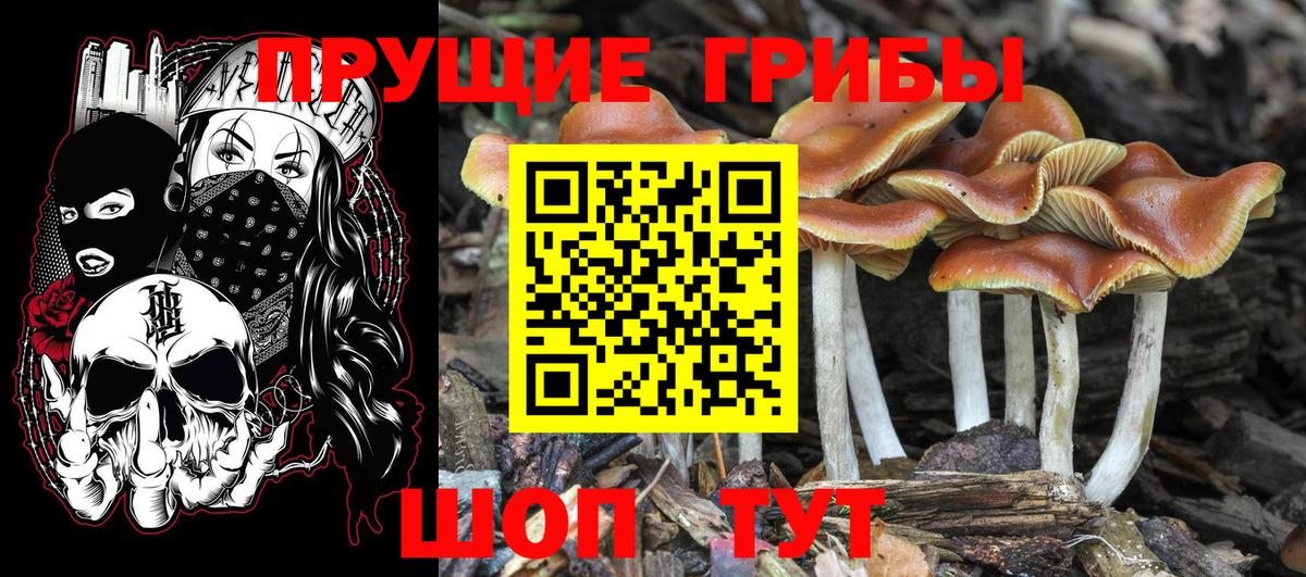 Усть-Илимск  Галлюциногенные грибы мухоморы  Вход с VPN 