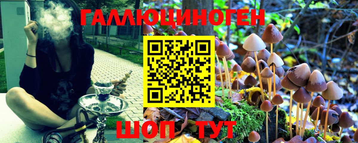 Псилоцибиновые грибы MAGIC MUSHROOMS Усть-Илимск